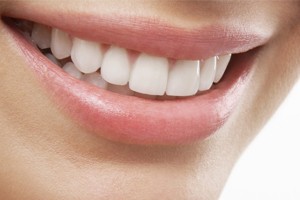 Fil de contention LDM